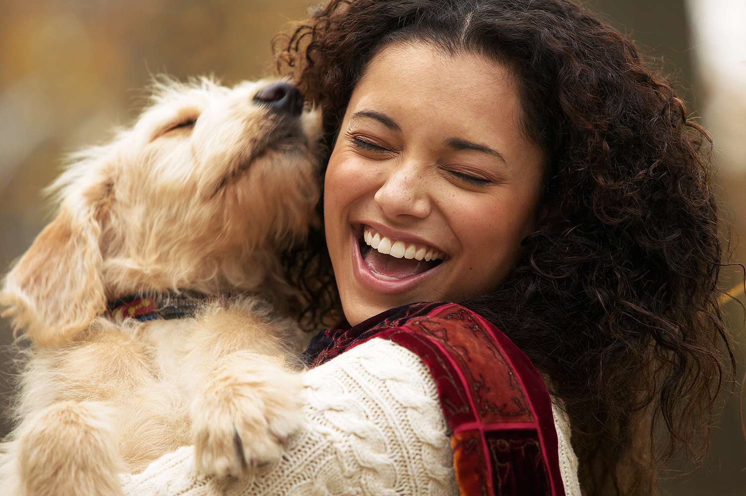 Dog Owners Say Their Bond with Their Pet Is More Satisfying Than with Their Partner